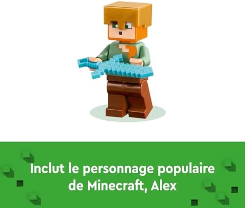 Vue 4 de Lego Minecraft Larmurerie Jouet