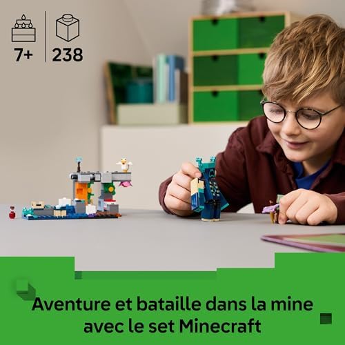 Vue 3 de Lego Minecraft La Rencontre