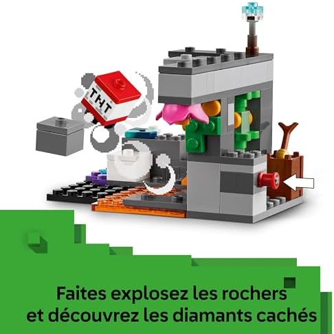 Vue 5 de Lego Minecraft La Rencontre