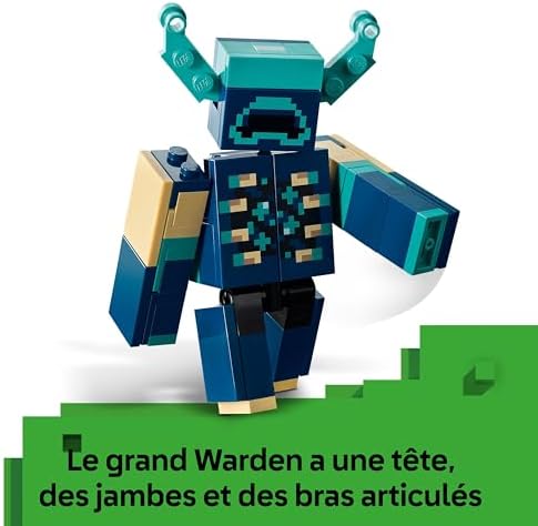 Vue 6 de Lego Minecraft La Rencontre