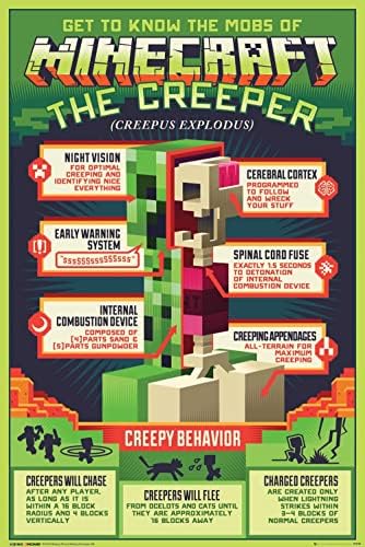 Vue 2 de Poster Minecraft Creepy Behavior