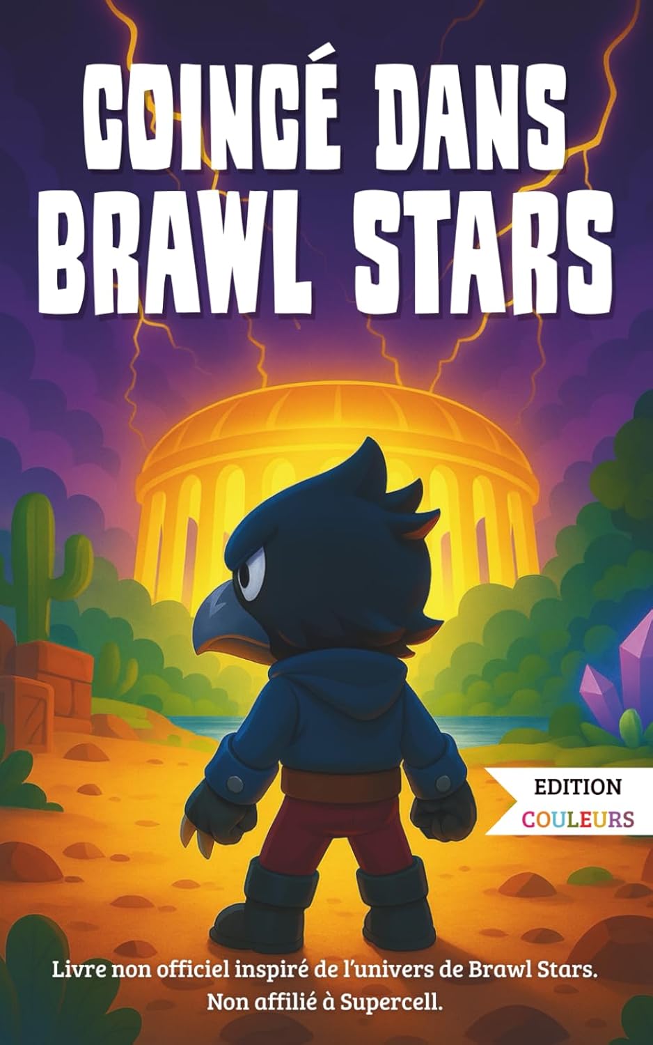 Vue 5 de Minecraft Un Chaton Qui