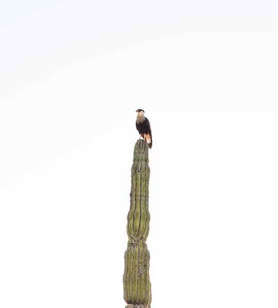 I took this out of a cheap rental car in Baja, Mexico.  On the recommendation of our AirBnB host we'd gone looking for a secret snorkeling spot.  We got stuck found an empty beach and I took this.