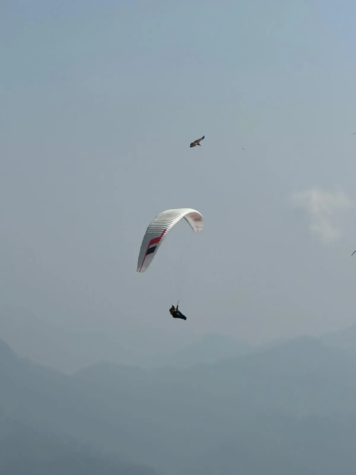 Whistler Paragliding gallery 2