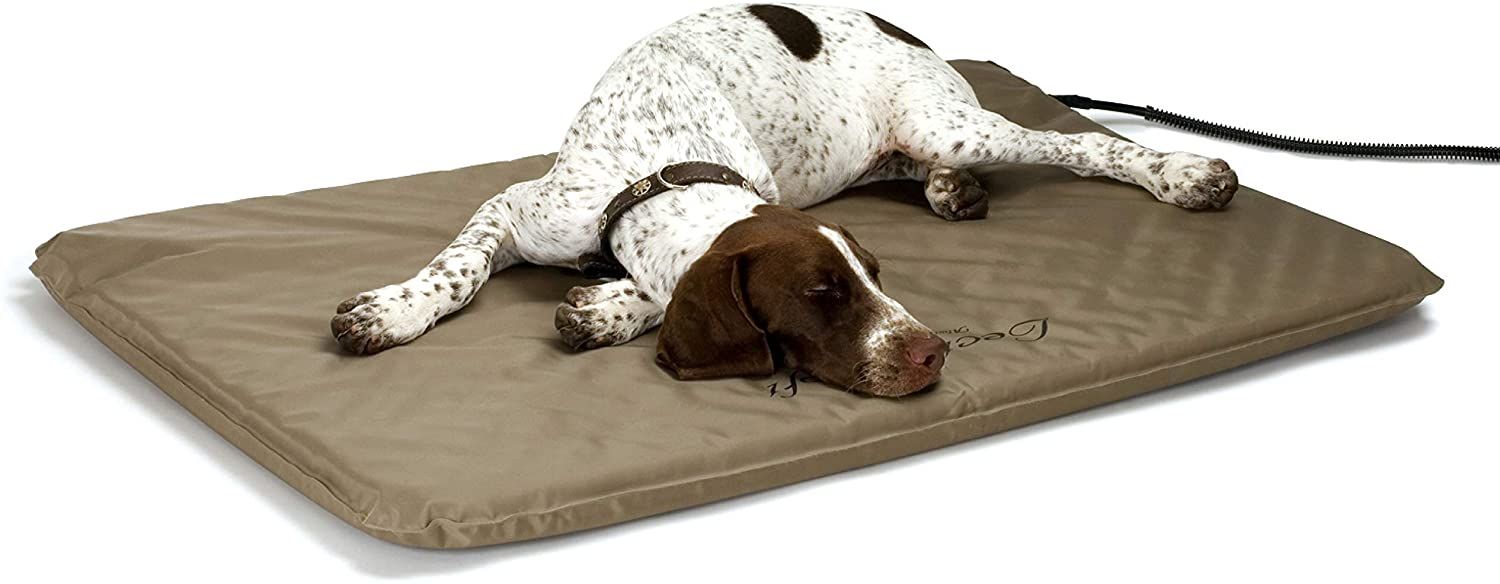 gifts for dog lovers-1.jpg