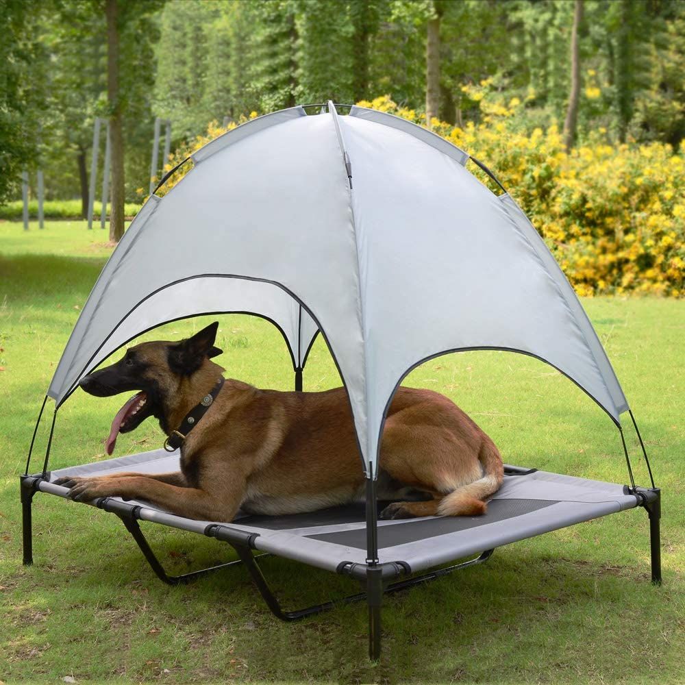 gifts for dog lovers-2.jpg