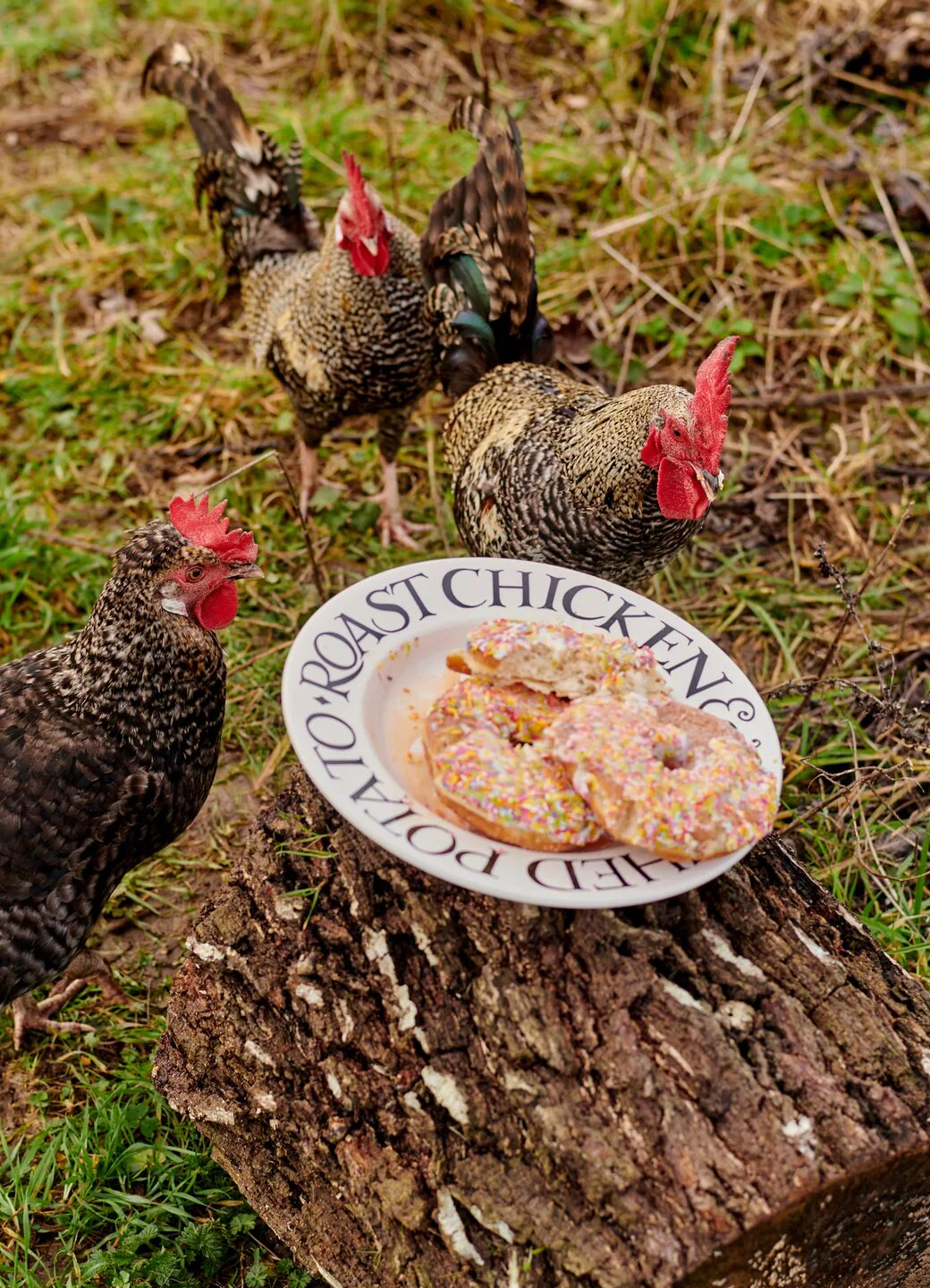 top christmas gifts for men — Emma Bridgewater Black Toast Roast Chicken Large Dinner Plate, 10.5 Inch