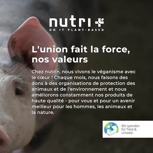 Vue 5 de Nutri Protein Sample Set