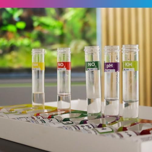 Vue 4 de Nt Labs Kit De