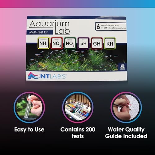 Vue 6 de Nt Labs Kit De