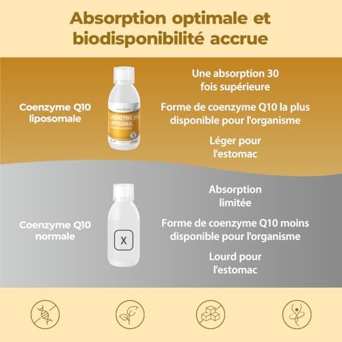 Vue 3 de Bandini Coenzyme Liposomale