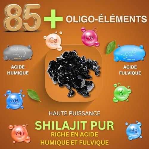 Vue 3 de Shilajit Pure Gene