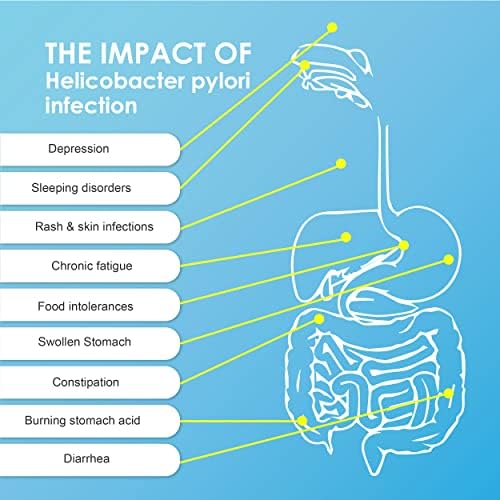Vue 4 de Accudoctor Helicobacter Pylori Test