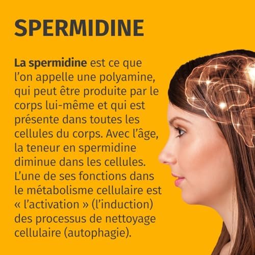Vue 7 de Spermidine Forte Hautement Dose
