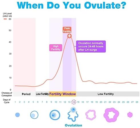 Vue 6 de Tests Dovulation Easyhome Tests