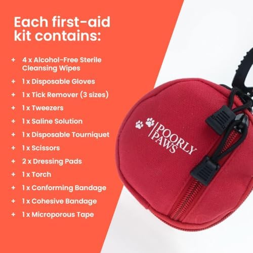 Vue 3 de Poorly Paws Kit De