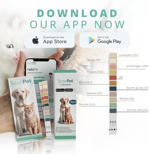 Vue 6 de Bandelettes Scanpet Kit Test