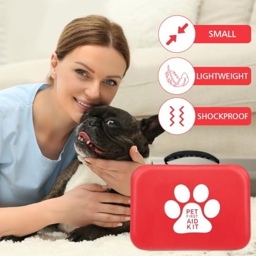 Vue 3 de Silkwish Kit De Premiers