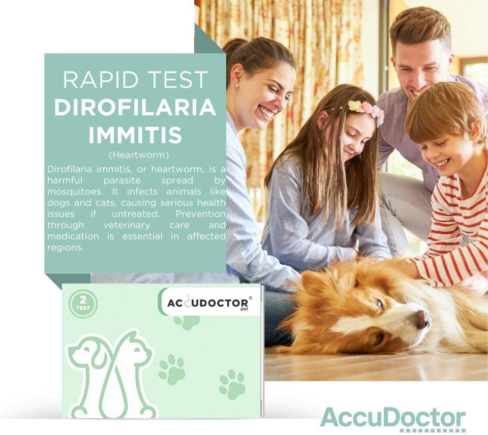 Vue 4 de Test Accudoctor Ag Dirofilariose