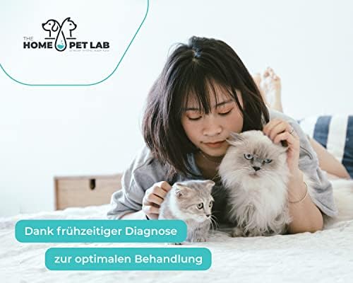 Vue 6 de The Home Pet Lab