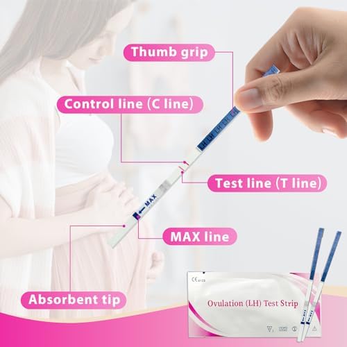 Vue 3 de Test Ovulation Tests Dovulation