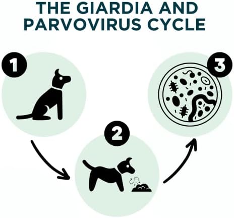 Vue 3 de Test Accudoctor Test Giardia