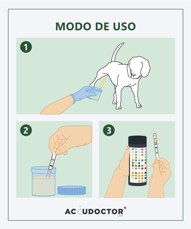 Vue 4 de Bandelettes Accudoctor Test De