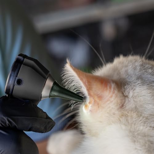 Vue 7 de Mini Otoscope Fibre