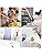 Vue 7 de Pcs Ml Pipettes De
