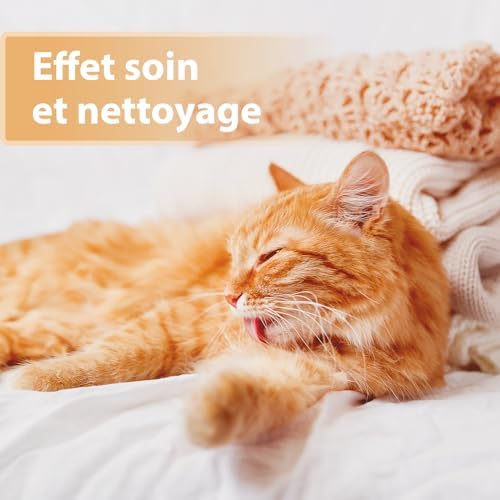 Vue 3 de Felisept Spray Cicatrisant Pour