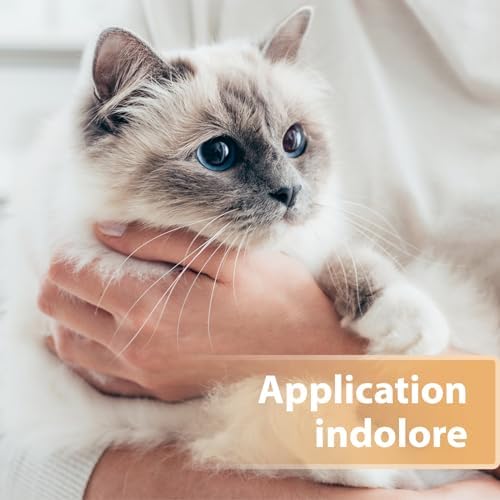 Vue 4 de Felisept Spray Cicatrisant Pour