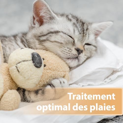 Vue 5 de Felisept Spray Cicatrisant Pour