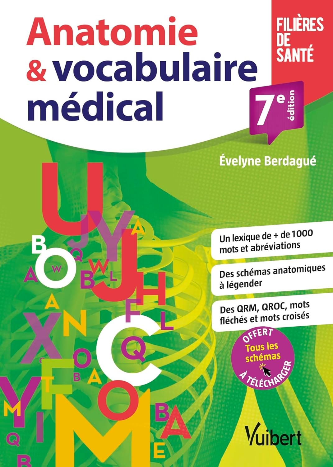 Vue 2 de Atlas Netter Danatomie Humaine
