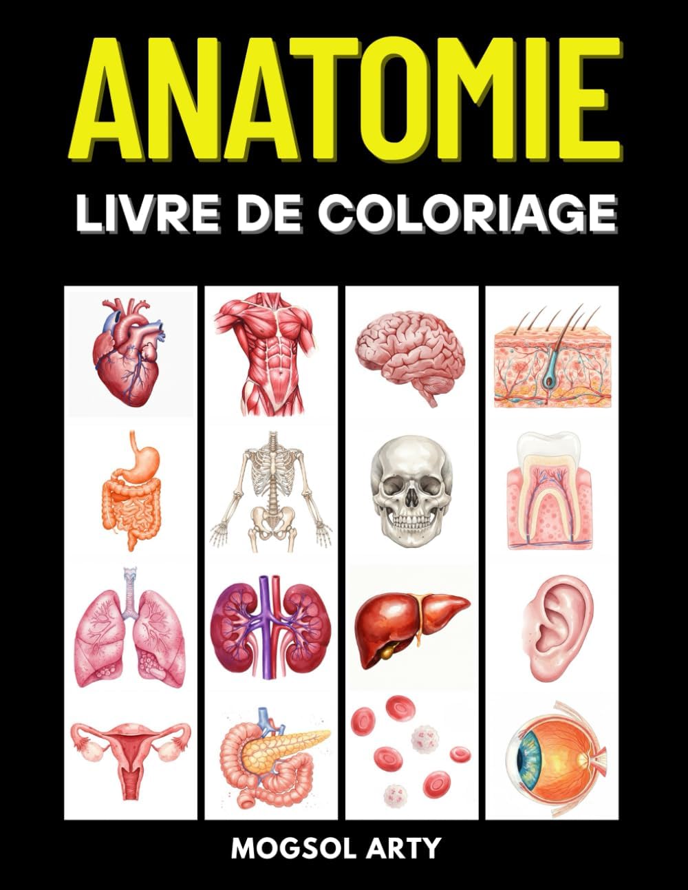Vue 7 de Atlas Netter Danatomie Humaine