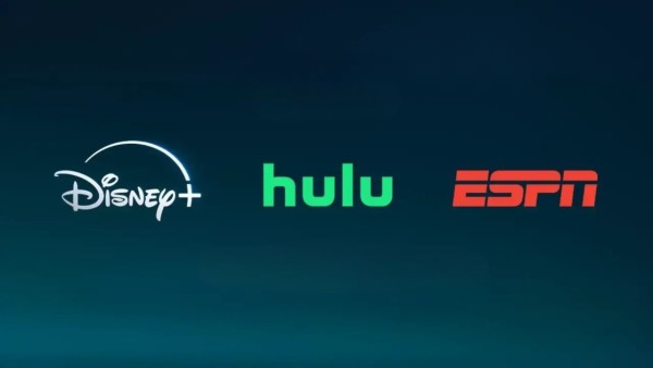 DISNEY PLUS +