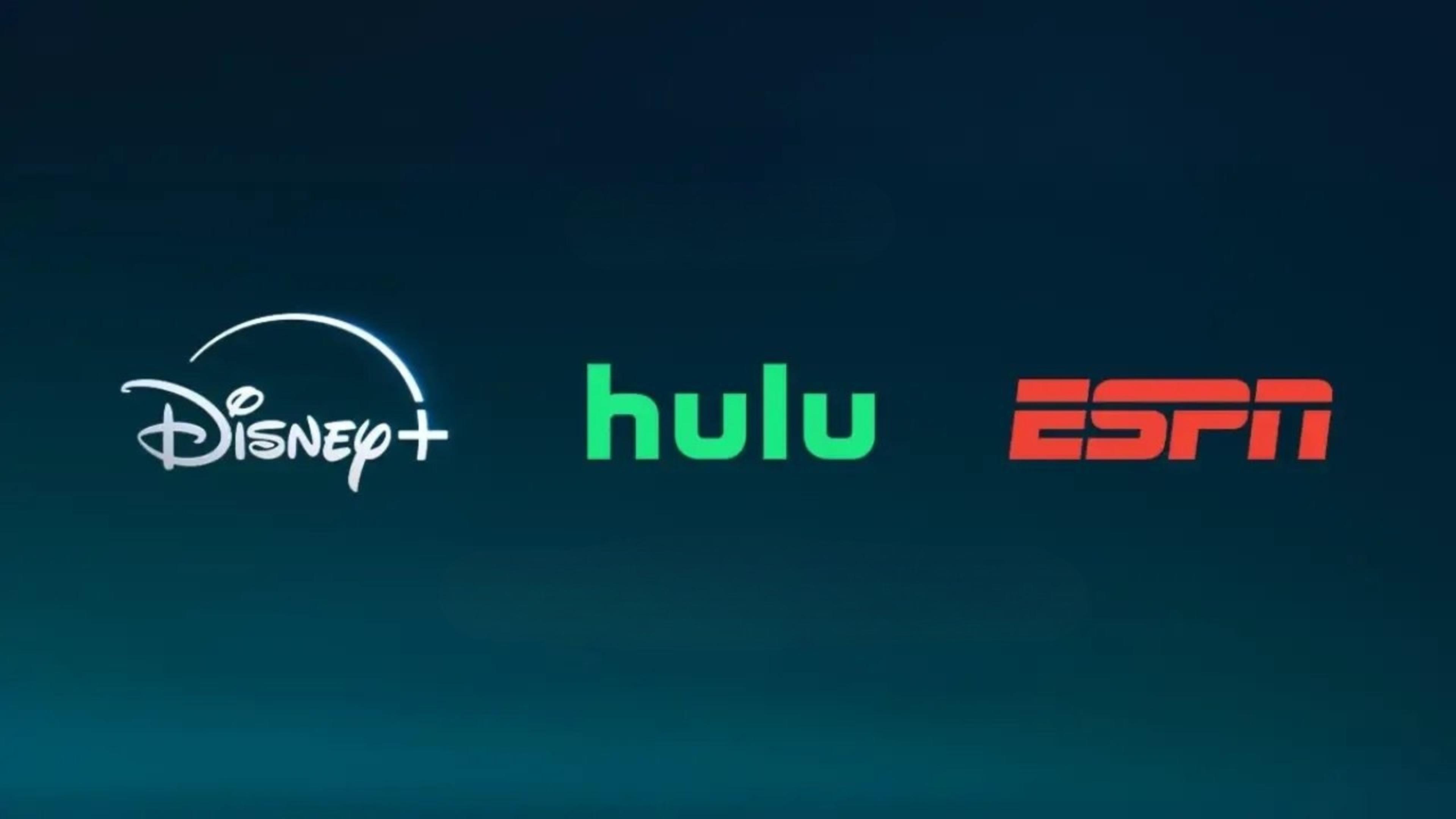 DISNEY PLUS +