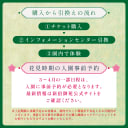 新宿御苑　セット3
