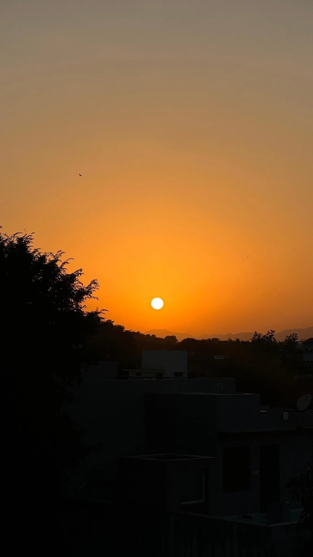Sunrise/Sunset Tour