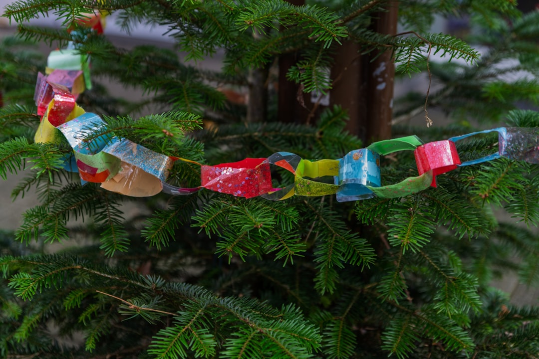 Manualidades Navideñas Ecológicas: Proyectos Divertidos con Materiales Reciclados para Toda la Familia