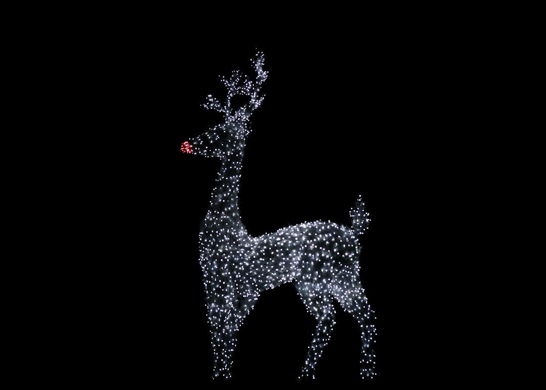The Magic of Reindeer: Fun Facts and Festive Stories for Kids