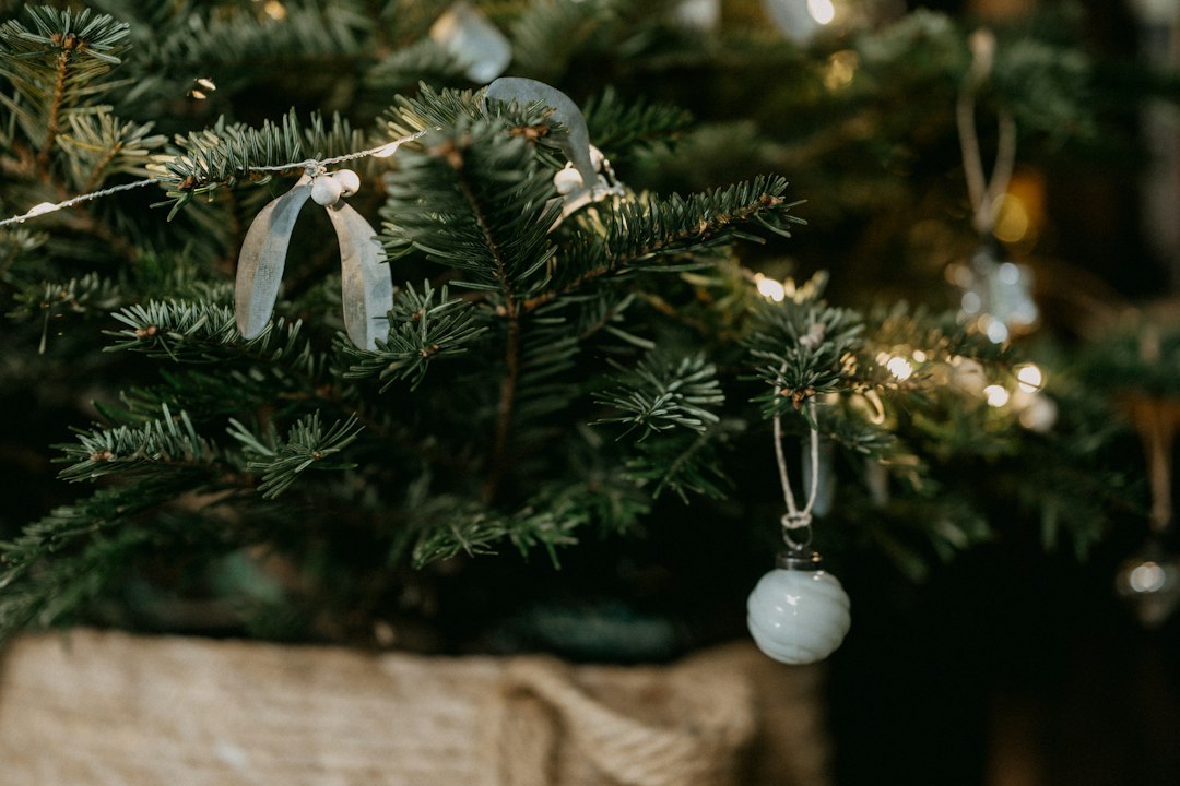 Green Holiday Magic: Eco‑Friendly Christmas Ideas for Families