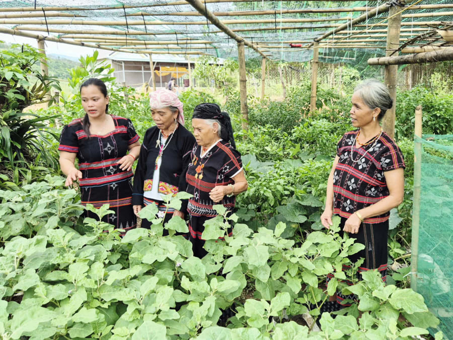 Bà Hồ Thị Vân (thứ hai, từ phải sang) chia sẻ kinh nghiệm trồng trọt, hướng dẫn phụ nữ thôn A Ngo phát triển kinh tế gia đình - Ảnh: K.S
