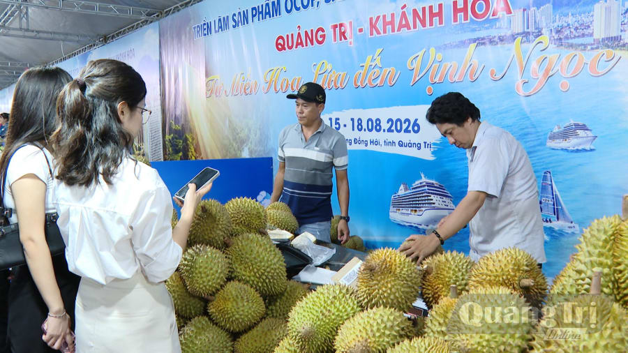 Sâu riêng, một đặc sản từ Khánh Hòa thu hút người dân và du khách - Ảnh: LT