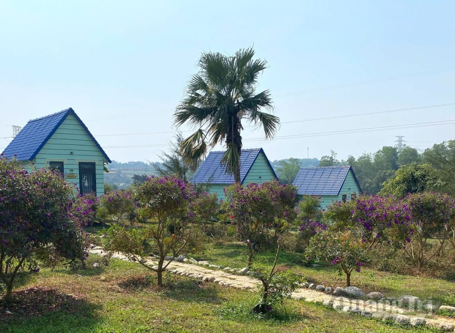 Du khách thường lựa chọn homestay Bảo Nguyên Xanh để nghỉ dưỡng khi đến Khe Sanh - Ảnh: S.H