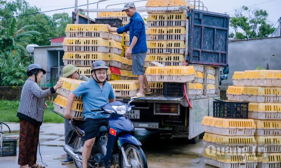 Hỗ trợ sinh kế cho các hộ gia đình khó khăn, hướng tới mục tiêu phát triển bền vững. - Ảnh: P.V
