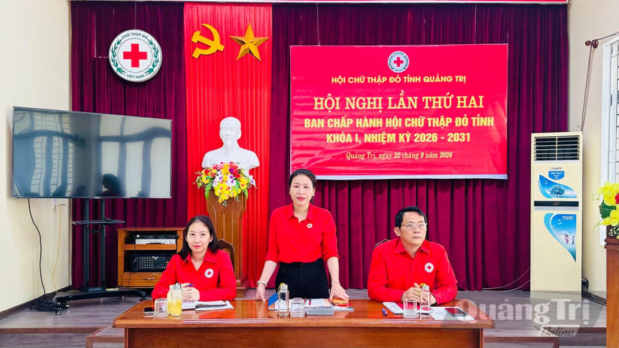 Ban Chấp hành Hội Chữ thập đỏ tỉnh triển khai nhiệm vụ nhiệm kỳ mới - Ảnh: B.N