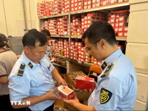 Tăng chế tài xử lý hành vi xâm phạm quyền, vi phạm pháp luật về sở hữu trí tuệ