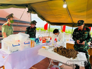 Để hoàn thiện thông tin liệt sĩ