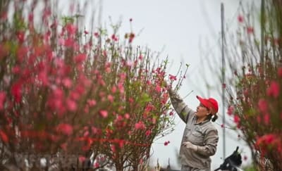 Bộ Nội vụ trình Chính phủ phương án nghỉ Tết Nguyên đán 2027 kéo dài 7 ngày