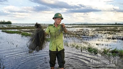 Cứu hộ 40 cá thể chim hoang dã, thu giữ hơn 2.500m lưới bẫy